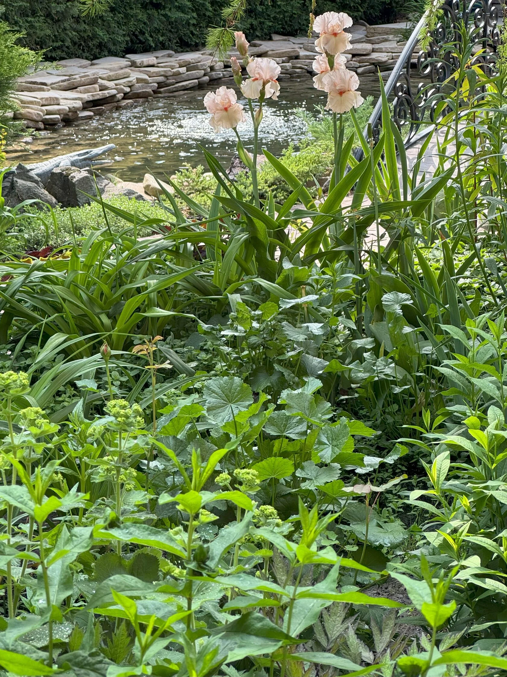 Проект Рубин Эстейт